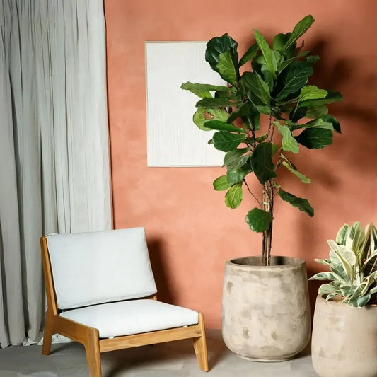 Beige stone-look planter urn with wide rim and tapered sides, holding a leafy plant