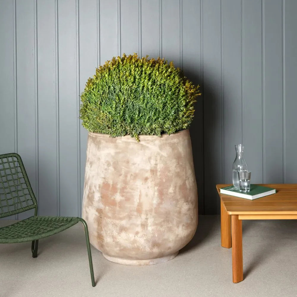 Beige stone-look planter urn with dense green foliage, rounded tapered shape