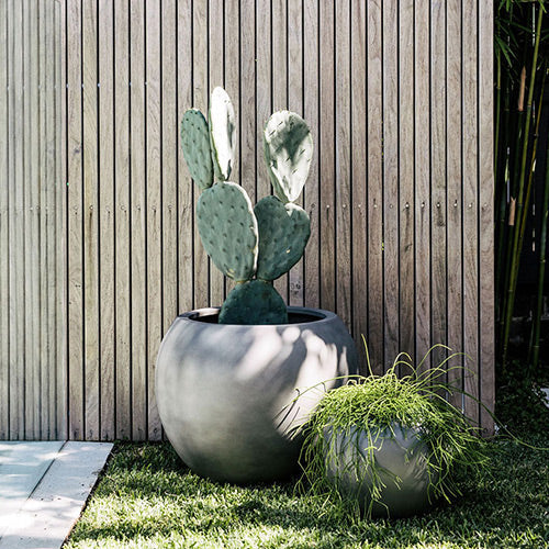 Dark gray round planter pot with small cactus in center, matte finish