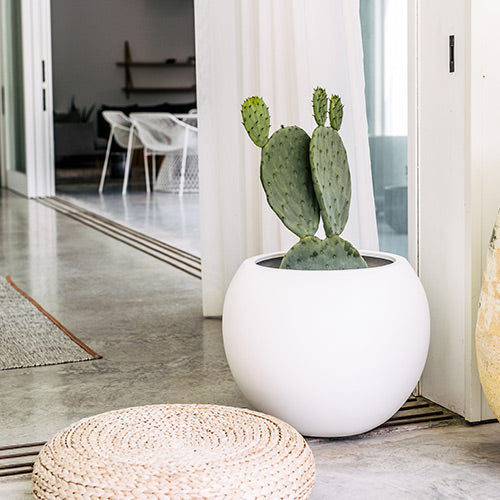 White round planter pot with upright cactus, smooth matte finish