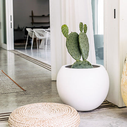 White round planter pot with upright cactus, smooth matte finish
