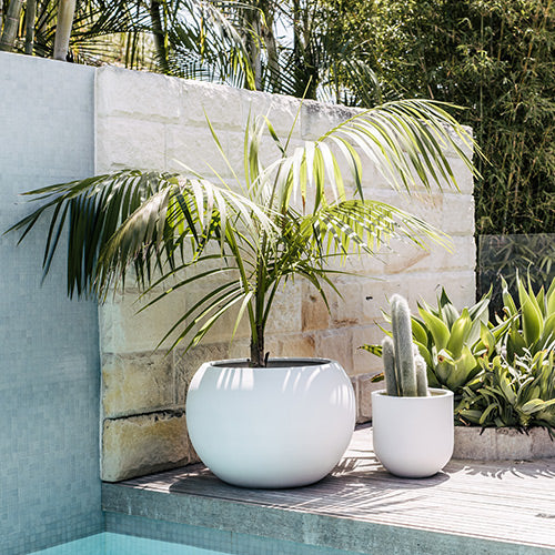 Muffin Top planter with round white pot on outdoor patio