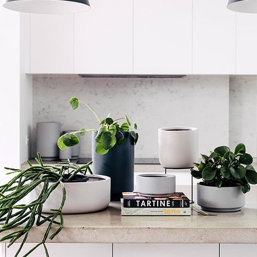 White cylindrical planter pot set with multiple sizes, round openings for plants.