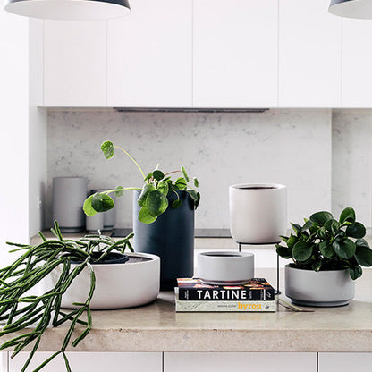 White cylindrical planter pot set with multiple sizes, round openings for plants.