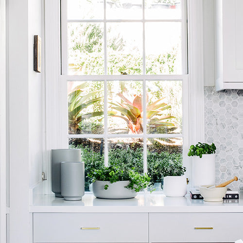 Light gray cylindrical planter pot on a windowsill among indoor plants.