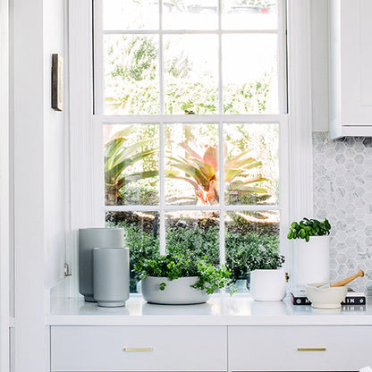 Light gray cylindrical planter pot on a windowsill among indoor plants.
