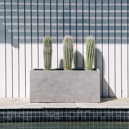 Rectangular outdoor planter box in light gray, with tall cactus-style plants inside.