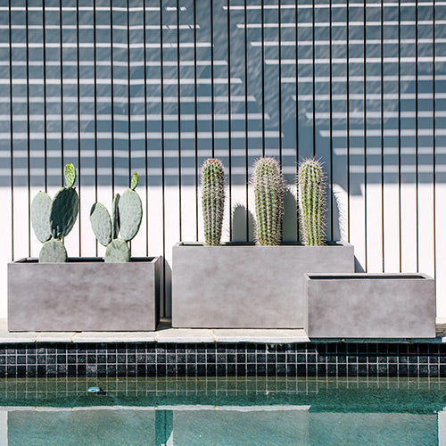 Three rectangular planters in light gray on a poolside ledge, with cacti and greenery.