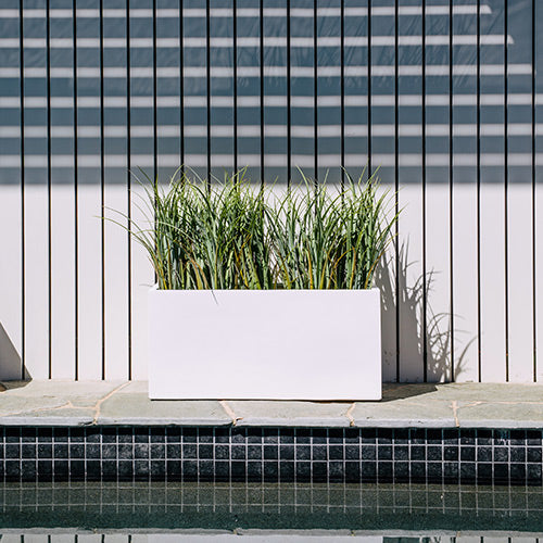 Rectangular outdoor planter in white with tufted green grasses and thin stems.