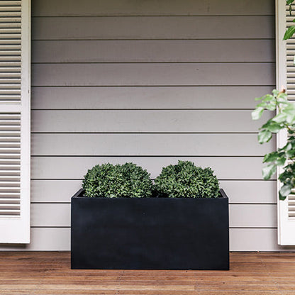 Rectangular indoor planter in dark navy with dense green shrub-like plant inside.