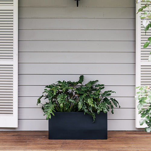 Square-rectangular indoor planter in dark navy with leafy green plant centered.