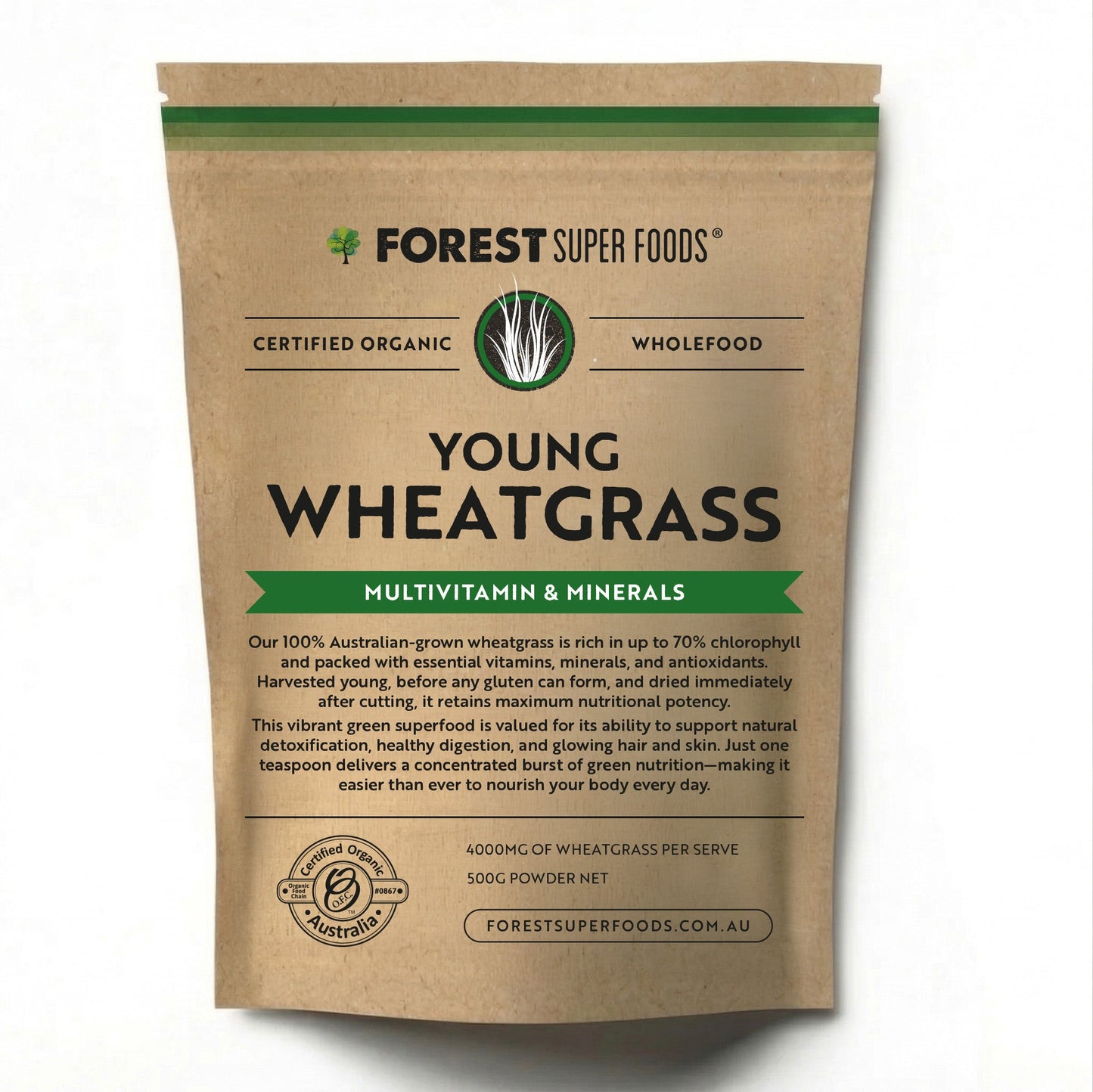 Australian Young Wheatgrass