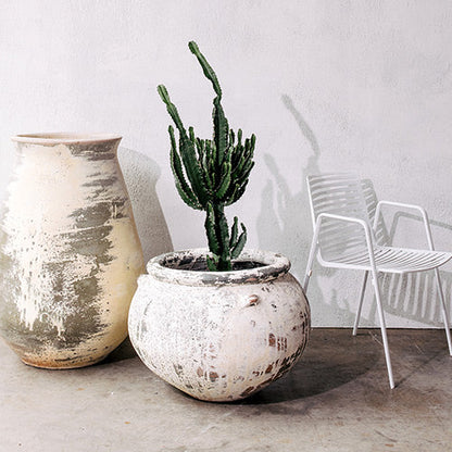 Phooket speckled planter pots with desert plants, including tall green cactus in white pot