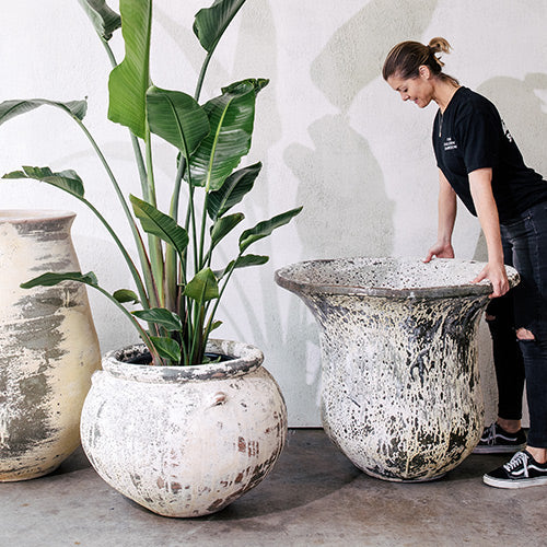 Phooket large speckled planter pots with lush plants, including one white pot with tall leaves