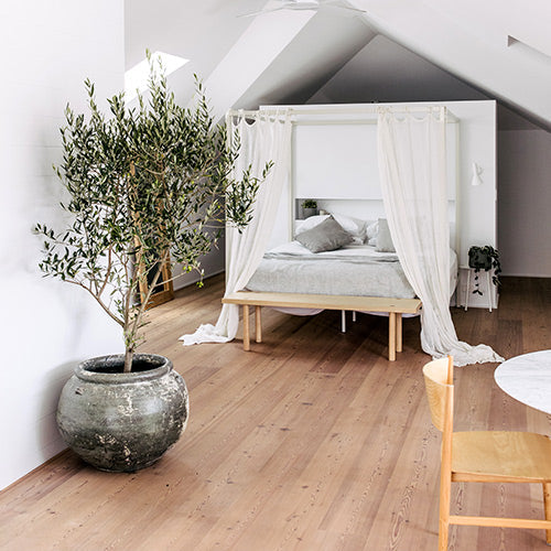 Phooket round planter pot with olive tree, speckled dark and light finish in an indoor nook