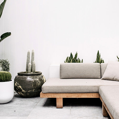 Phooket textured planter pots with speckled surfaces, one holding tall cactus