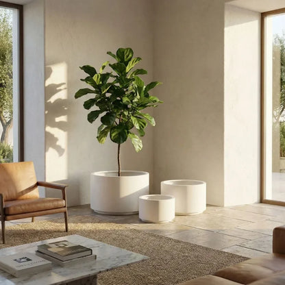 Indoor plant pot set with a tall white planter and three round pots