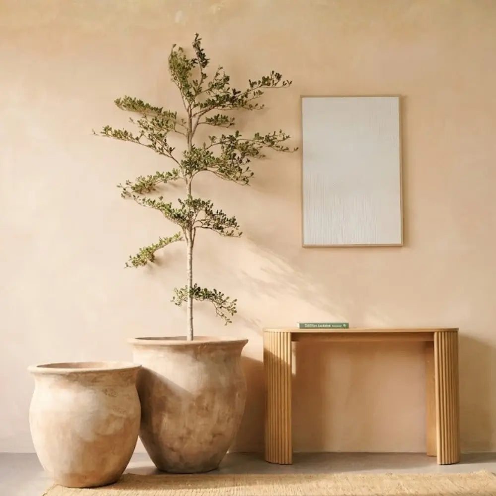 Three beige planters with flared rims and textured finish, styled with a small tree.