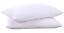 White king pillow insert, 100% cotton cover, set of 2 pillows