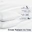 White down pillow insert with cotton cover, close-up view