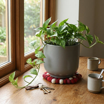 Red Berry Red Wool Felt Trivet Heat Mat – Handmade Pot Mat