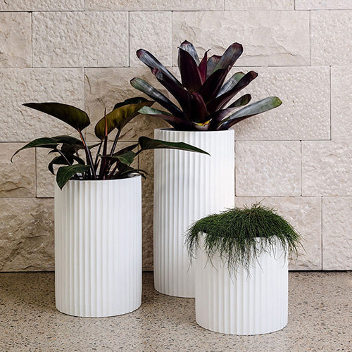 White ribbed planters, three cylindrical pots with vertical ridges and potted plants