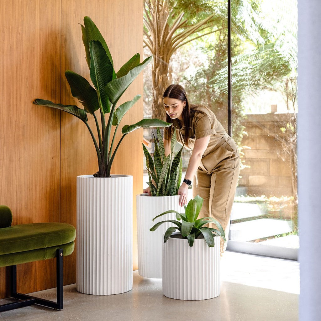 White ribbed planters, two tall and one small cylindrical pot with vertical ridges