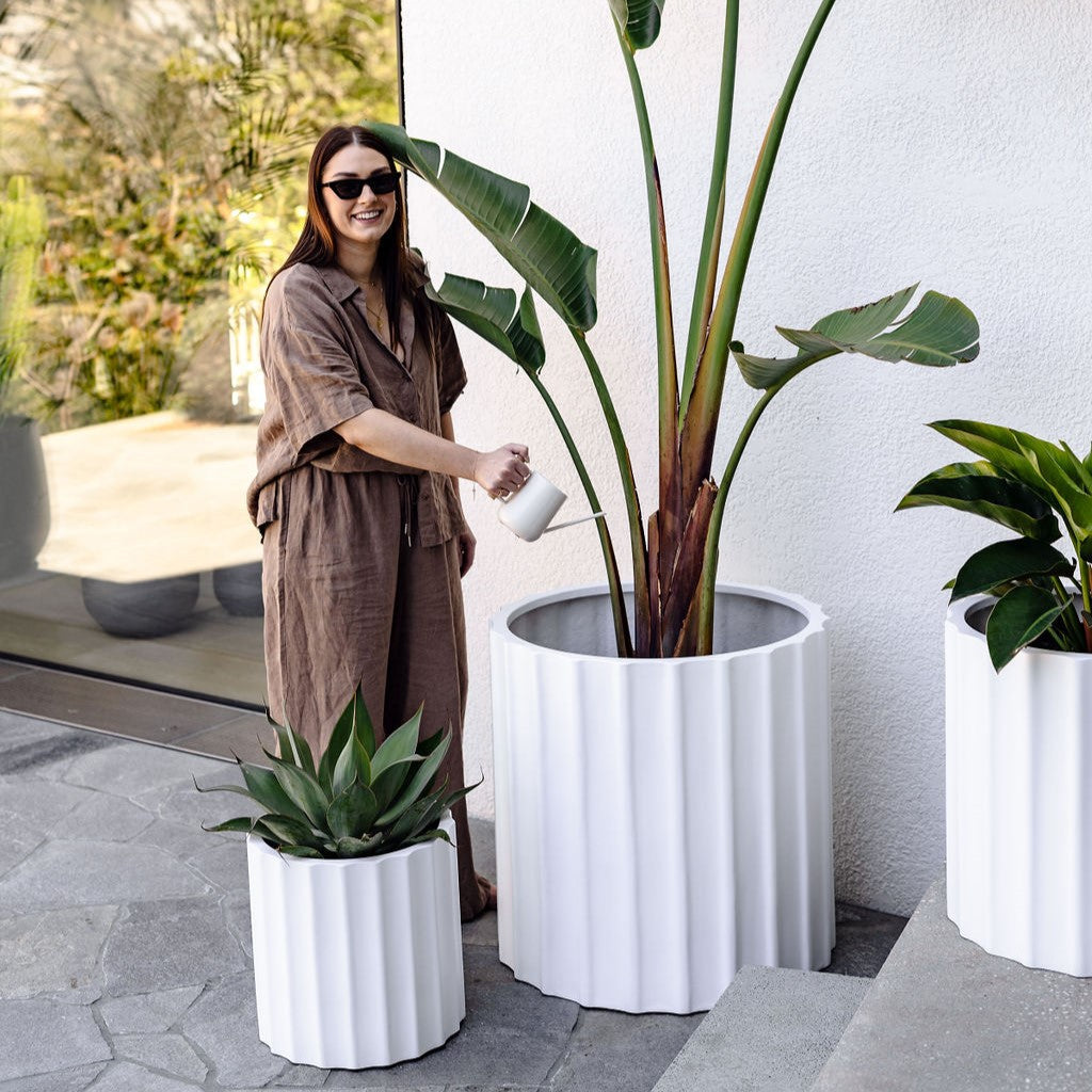 Ribbed planter set, white cylindrical pots with vertical ridges and flat top openings