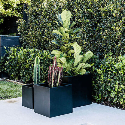 Rubix charcoal square planters set holding leafy plants and cacti