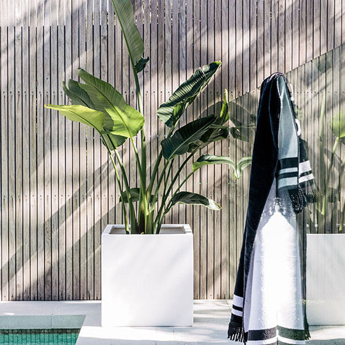 Rubix white square planters set of three with drainage openings, holding leafy plants