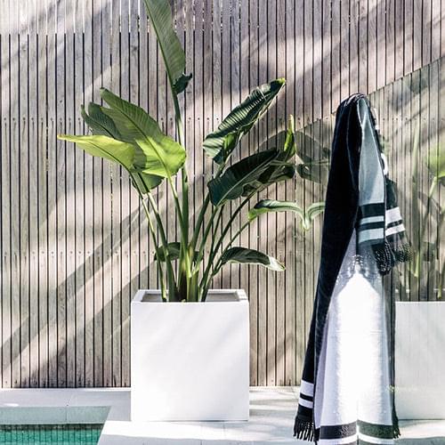 Rubix white square planters set of three with drainage openings, holding leafy plants