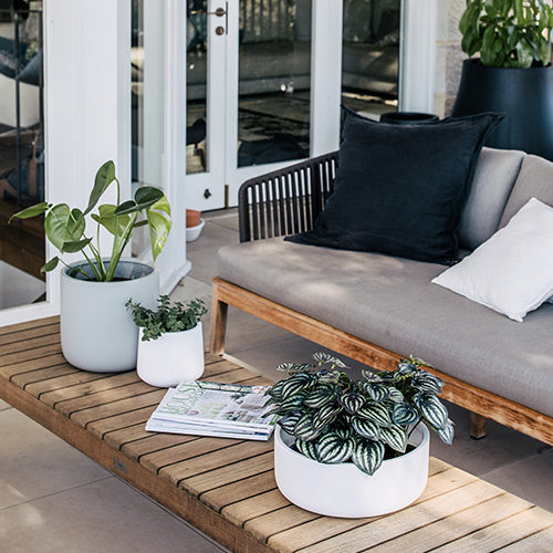 White round planter pots with green plants on a wooden outdoor bench