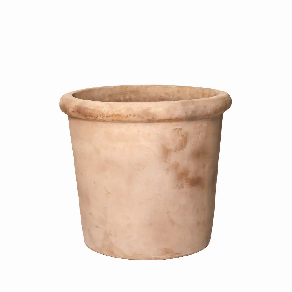Concrete planter pot in light tan with wide rim, squat conical shape.