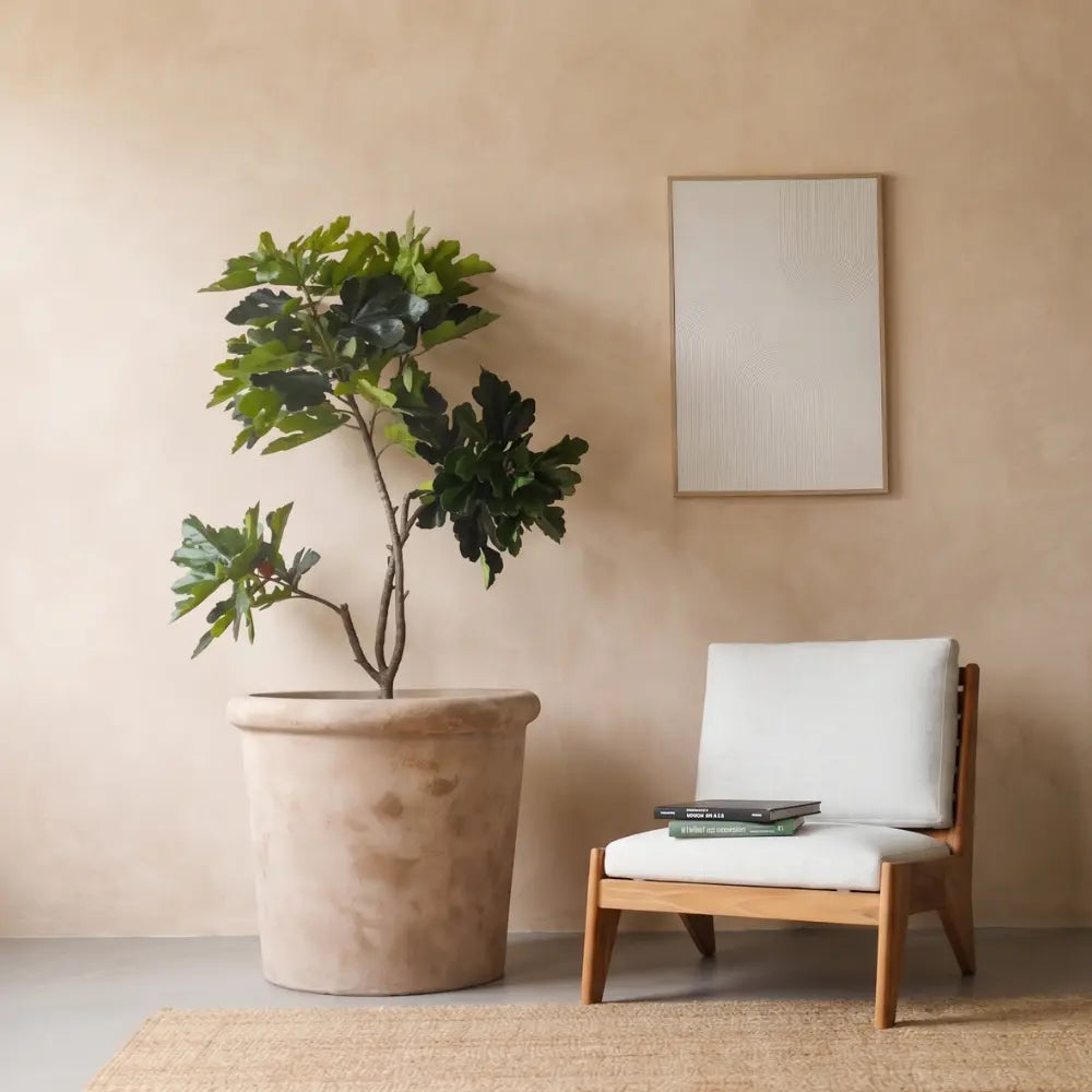 Concrete planter pot with leafy plant in light beige, squat conical shape.