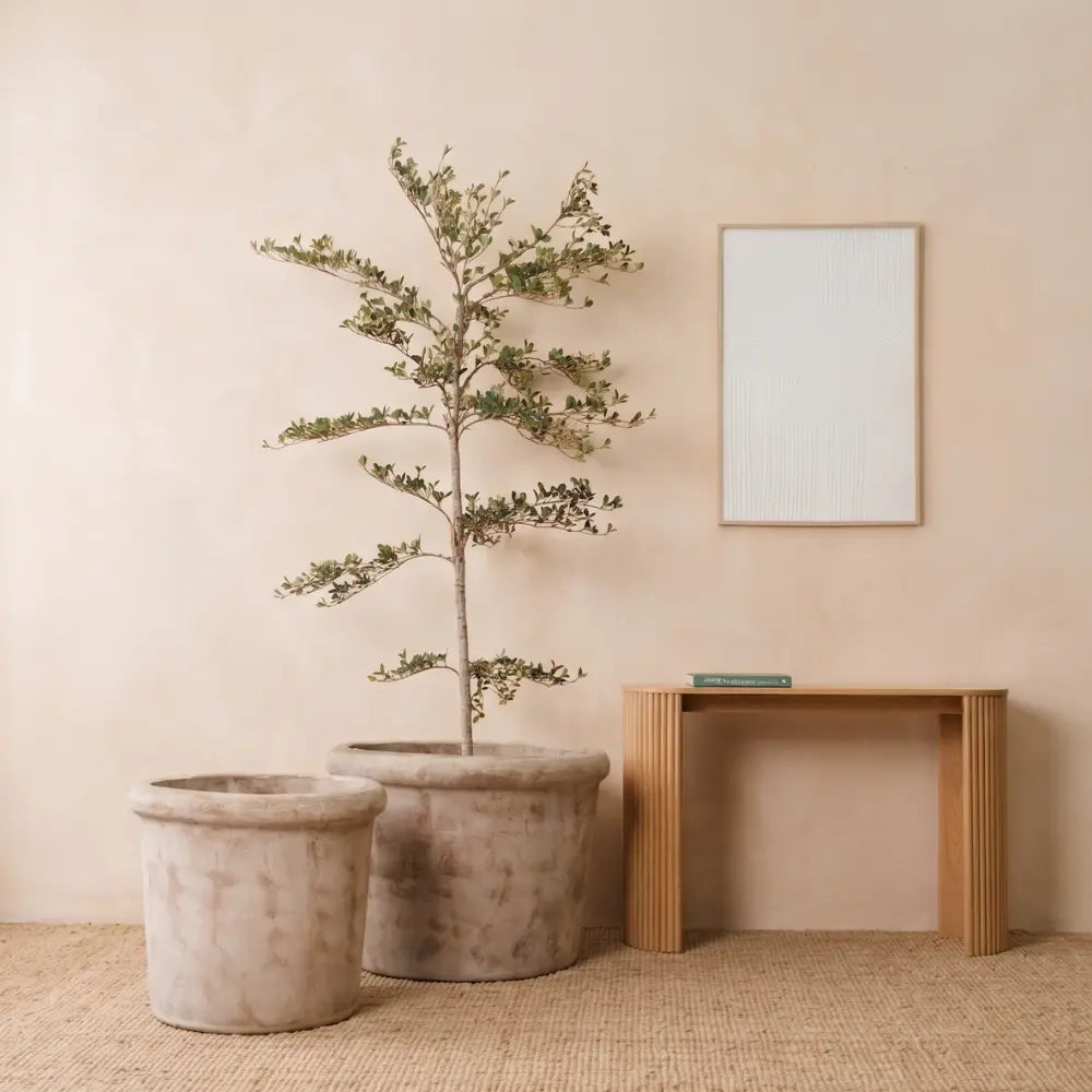 Concrete planter set with two pots and a small tree, squat conical style.