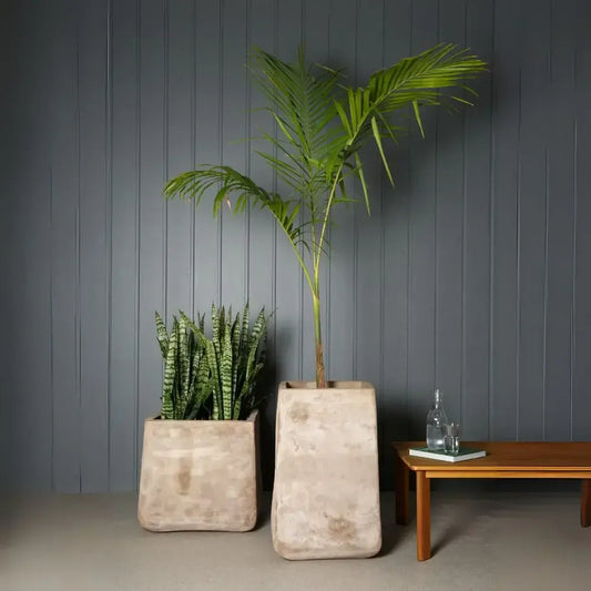 Beige concrete square planters with rounded corners, two pots with plants