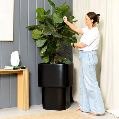 Black stacked cube planter with leafy plant in two-tier design