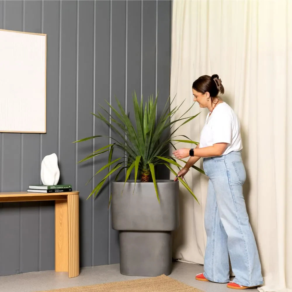 Concrete gray stacked cube planter set with long grass plant
