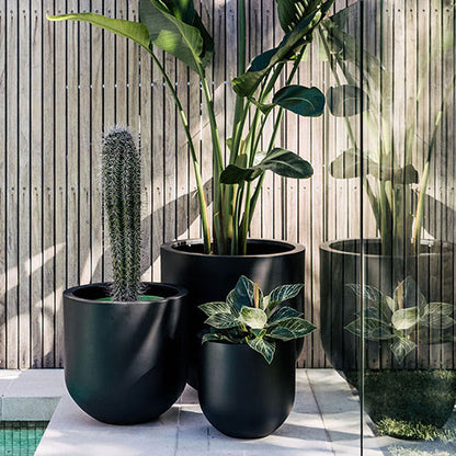 Charcoal planter set with three round pots filled with cacti and leafy plants.