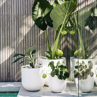 White planter set with three round pots holding leafy tropical plants outdoors.