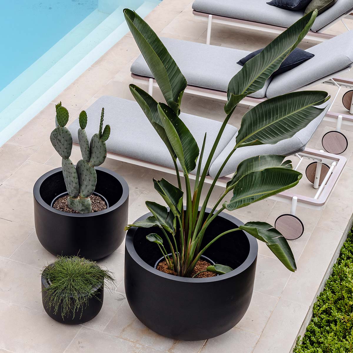The Chop planter set in charcoal, three round pots with assorted greenery