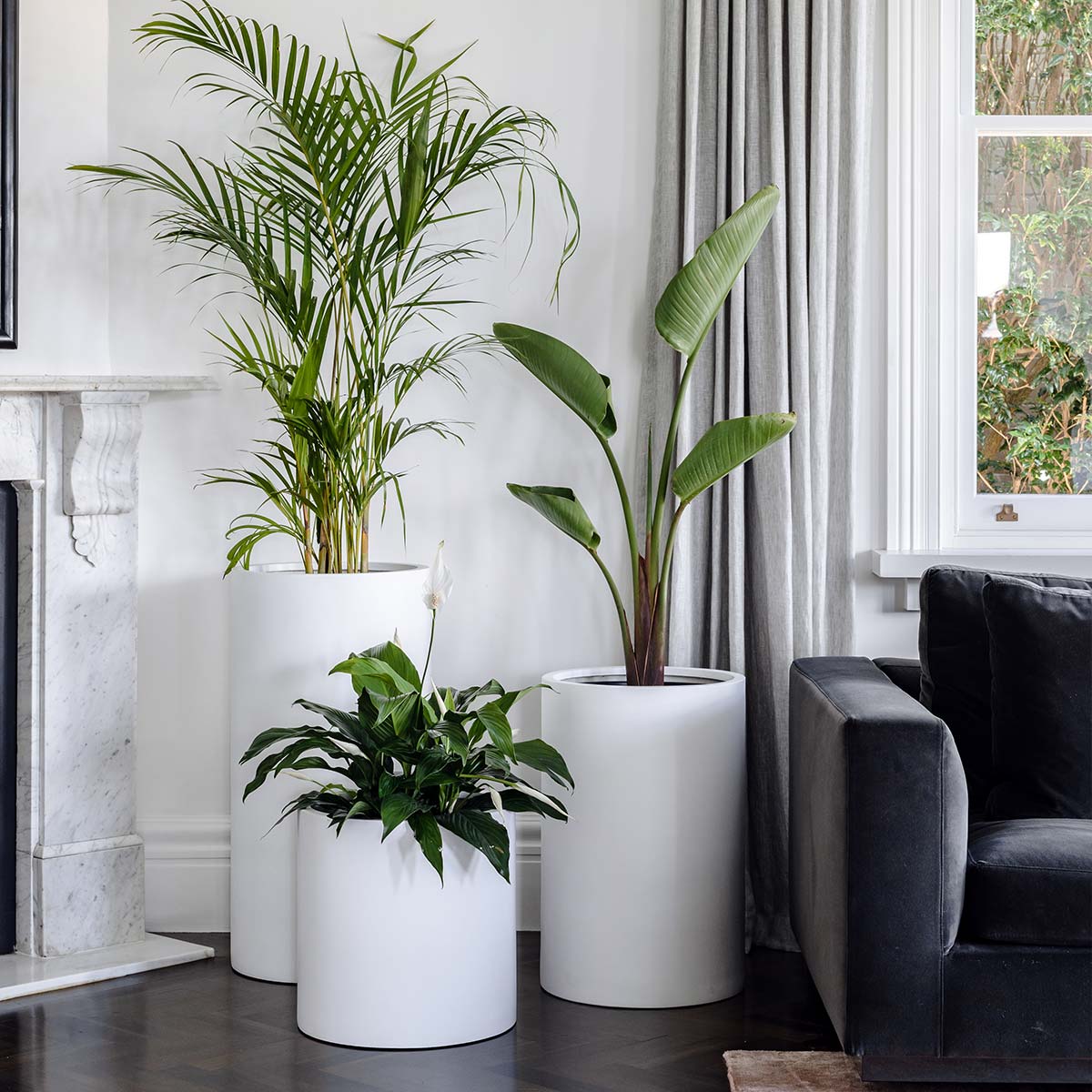 Set of three white cylindrical plant pots with green indoor plants, varying heights.