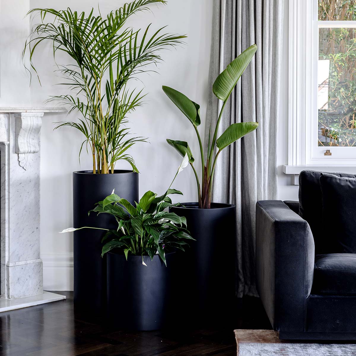 Set of three dark cylindrical plant pots with green plants, nested sizes.