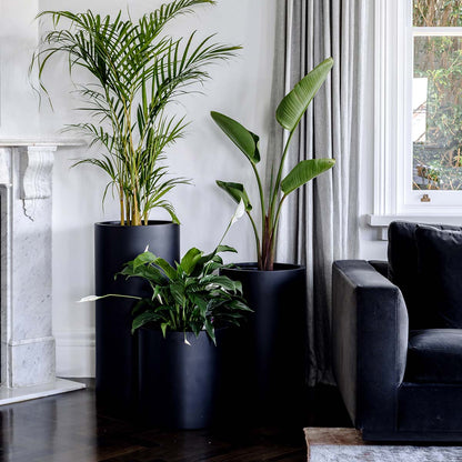 Set of three dark cylindrical plant pots with green plants, nested sizes.