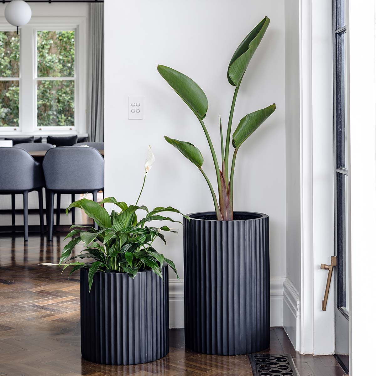 Dark grey ribbed planters, two cylindrical pots with vertical fluted texture and plants