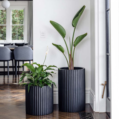 Dark grey ribbed planters, two cylindrical pots with vertical fluted texture and plants