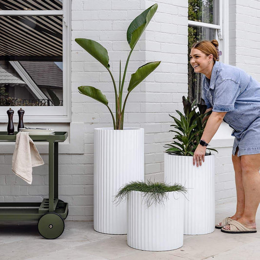 White ribbed planters set, three cylindrical pots with vertical fluted texture
