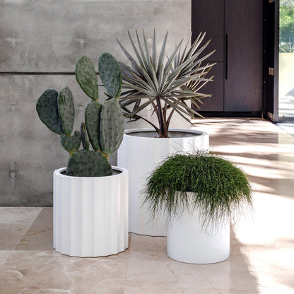 Ribbed planter set, white cylindrical pots with vertical ridges and round rim tops