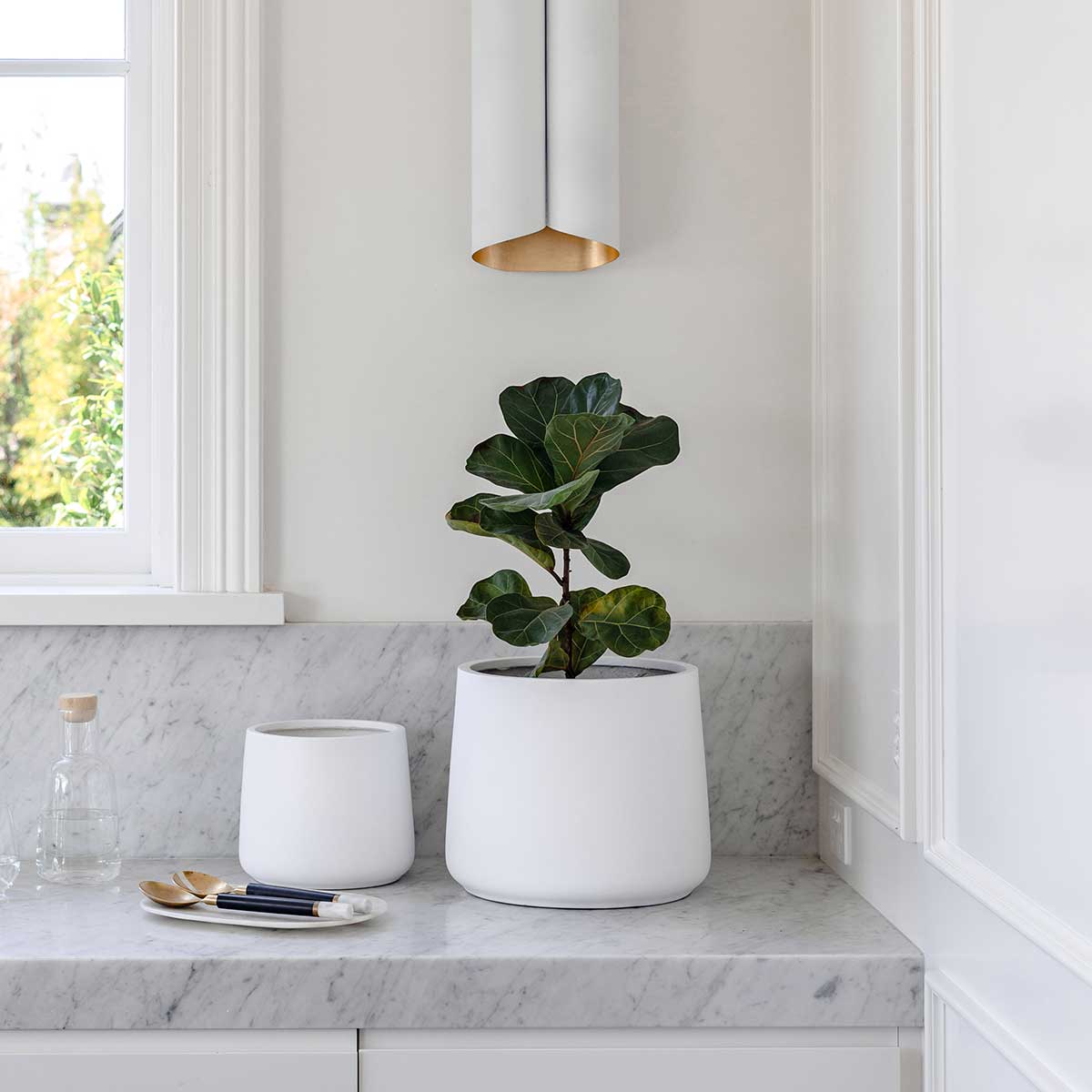 White ceramic plant pot with wide round shape and tall green leaf stems