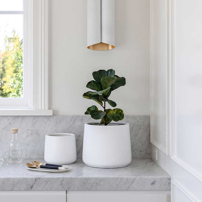 White ceramic plant pot with wide round shape and tall green leaf stems